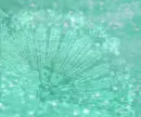 TumbleForYouAqua