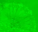TumbleForYouEmerald