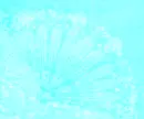 TumbleForYouTurquoise