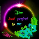 Mel - Colorful - Perfect - Flower
