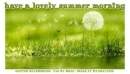 have a lovely summer morning