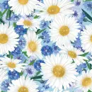 Camomiles and cornflowers