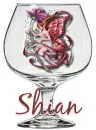 Shian's fairy in a glass