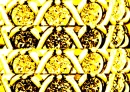 XOXO Citrine XOXO