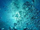 Underwater View Of The Ocean