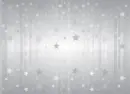 Silver Background with stars