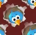 bird