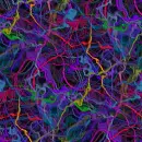 color background
