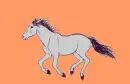 grey horse