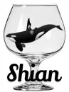 Shian's Killer Whale