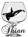 Shian's Killer Whale