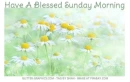 Have A Blessed Sunday Morning
