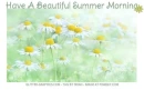 Have A Beautiful Summer Morning