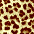 LikeAnAnimalDarkBrown