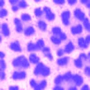 LikeAnAnimalPurple