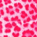 LikeAnAnimalPink