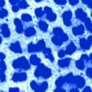 LikeAnAnimalBlue