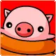 Cute Animals