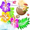 Taste of Summer