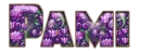 Orchids - Pami