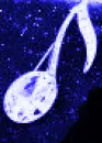 JavaJiveSapphireMusicNotes