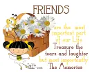 Friends