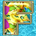 Fran Summer Avatar