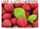 HAVE A GOOD MORNING