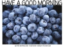 HAVE A GOOD MORNING