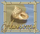 Awesome (Seashell)