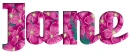 Pink Flowers - Jane 