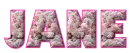 Pink - Jane 
