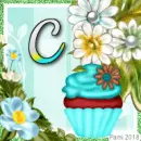 Birthday letter C ~ av