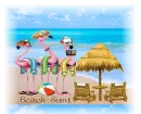BEACH BUMS