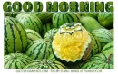 GOOD MORNING, WATERMELON, FOOD, TEXT, GREETINGS