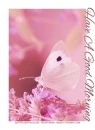 A GREAT MORNING, FLOWERS, BUTTERFLY, TEXT