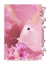 ENJOY THE SUMMERTIME FUN, FLOWERS, BUTTERFLY, TEXT