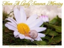 Have A Lovely Summer Morning