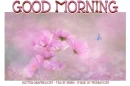 GOOD MORNING, FLOWERS, TEXT, GREETINGS
