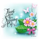 Thankyou for Stopping by