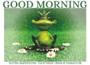 GOOD MORNING, ANIMALS, FROG, GREETINGS