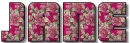 Pink flowers with black trim - Jane