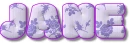 Lavender Flowers - Jane
