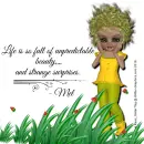Mel - Life Is Full Of Beauty - Surprises