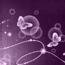 Purple butterfly ~ background
