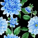 Blue flowers ~ background