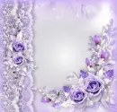Purple ~ background