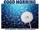 GOOD MORNING, DANDELION, SUMMER, GREETINGS