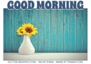 GOOD MORNING, SUMMER, SEASONAL, GREETINGS TEXT