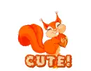 Fall Squirrel (Cute!)